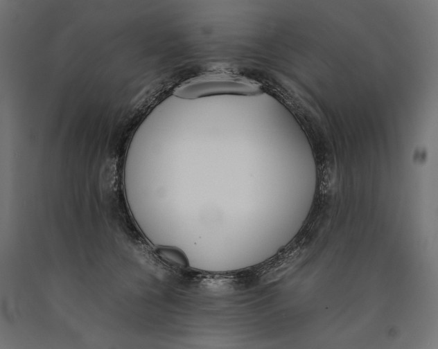 X0000090410560200708031045