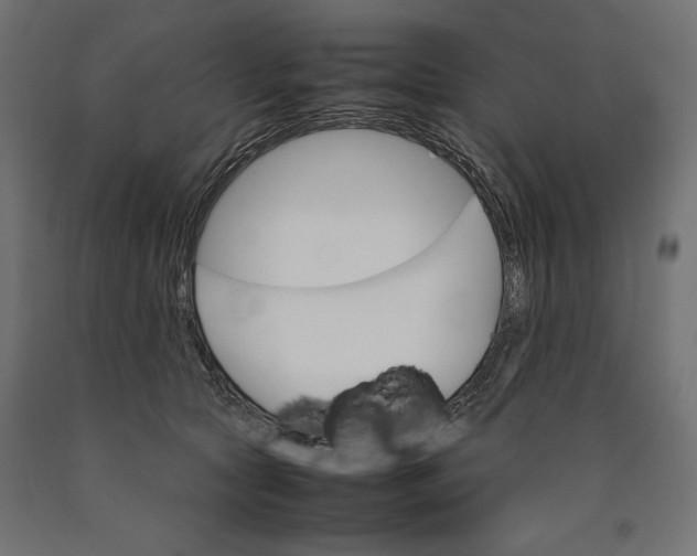 X0000090410561200708031045