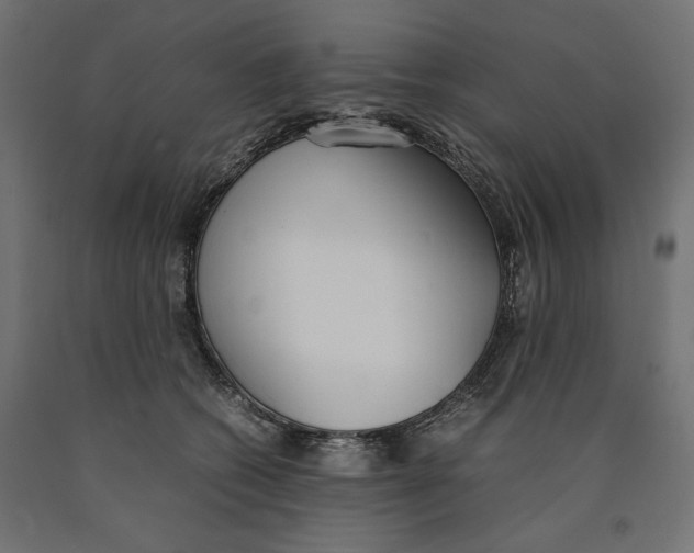 X0000090410562200708031045