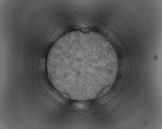 X0000090410563200708031045