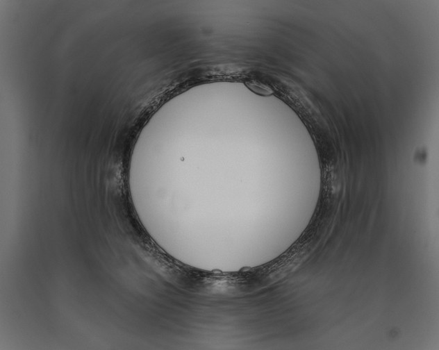 X0000090410564200708031045