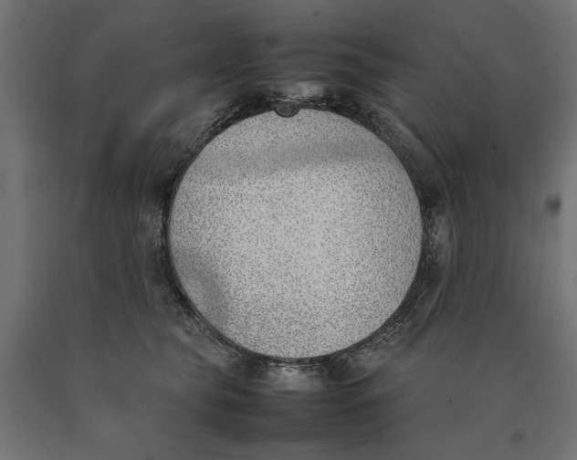 X0000090410565200708031045