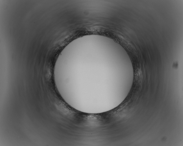 X0000090410566200708031045