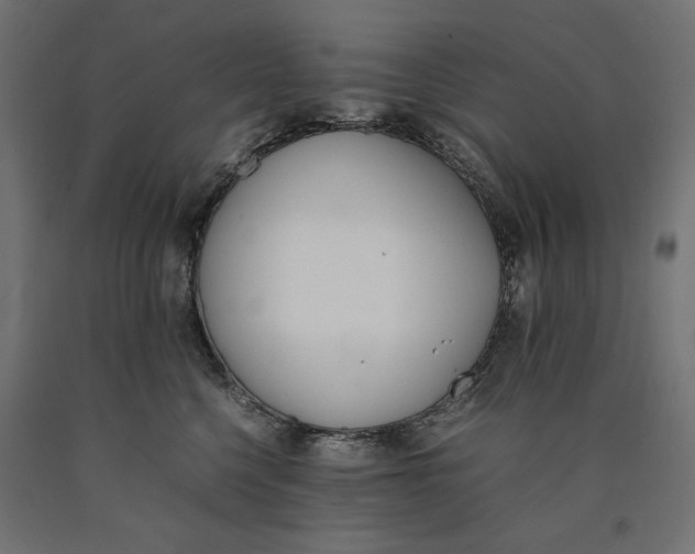X0000090410568200708031045