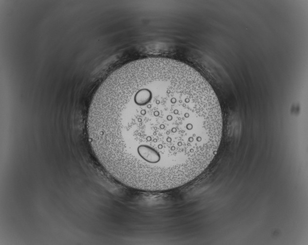 X0000090410569200708031045