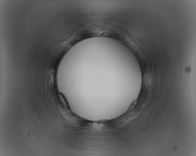 X0000090410570200708031045