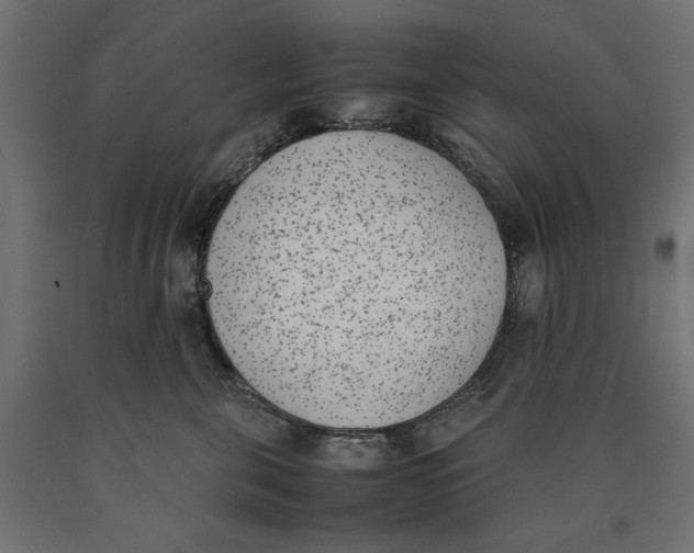 X0000090410571200708031045