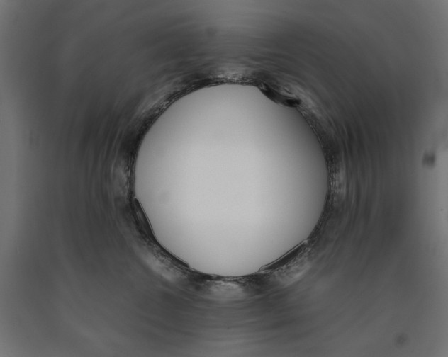 X0000090410572200708031045