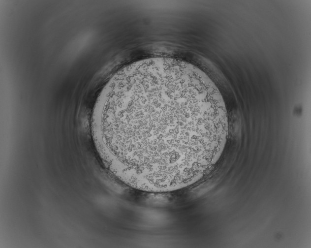 X0000090410573200708031045