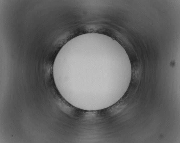 X0000090410574200708031045