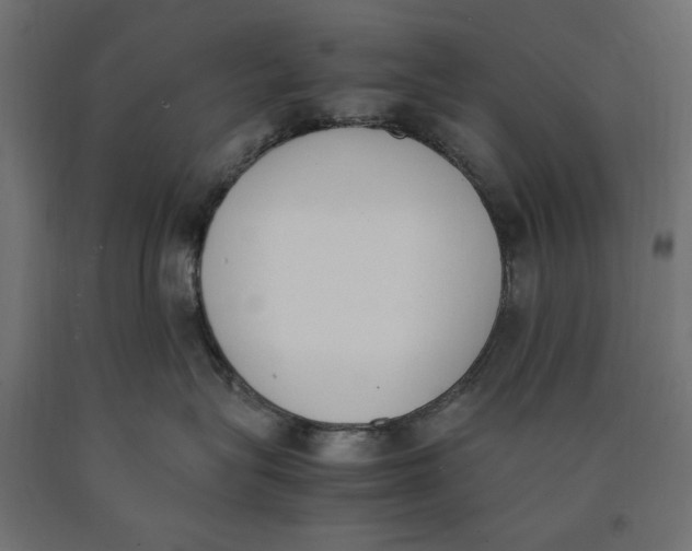 X0000090410575200708031045