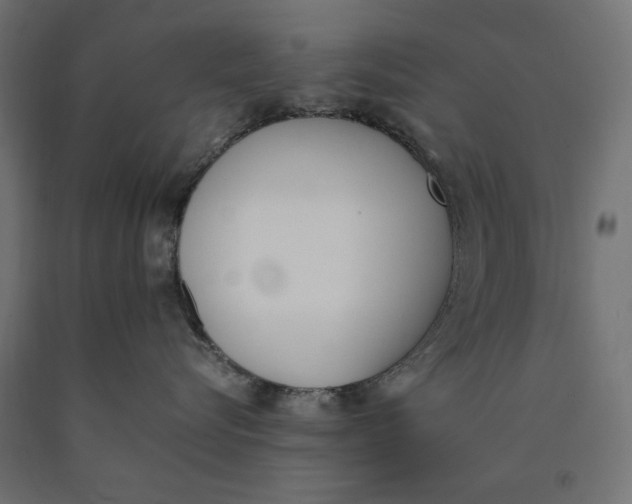 X0000090410576200708031045