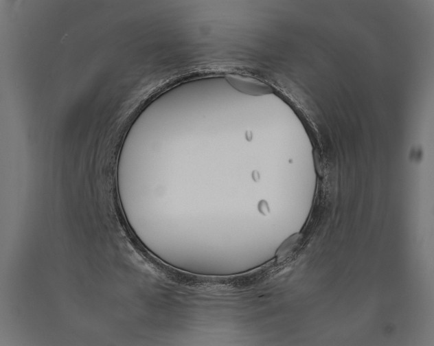 X0000090410577200708031044