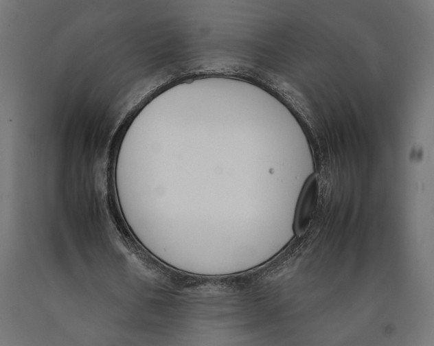 X0000090410578200708031044