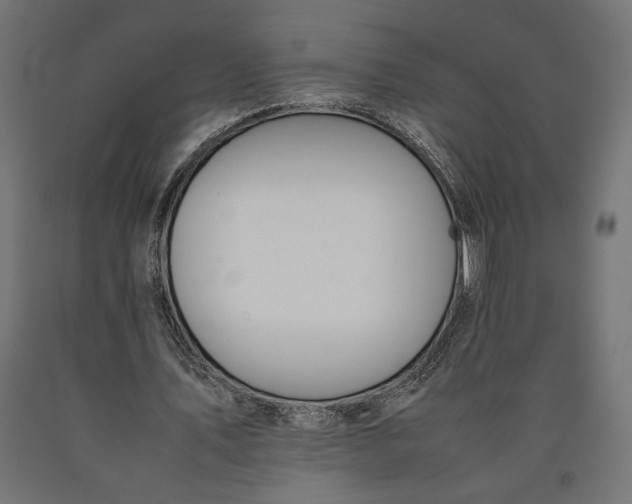 X0000090410579200708031044