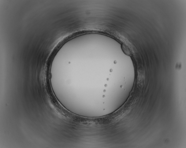 X0000090410580200708031044