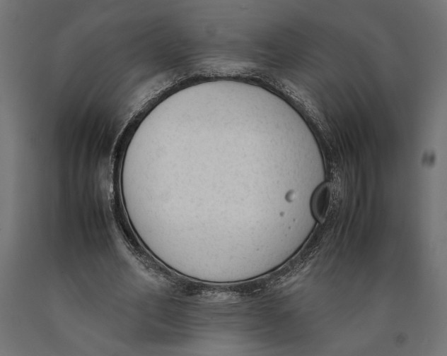 X0000090410582200708031044