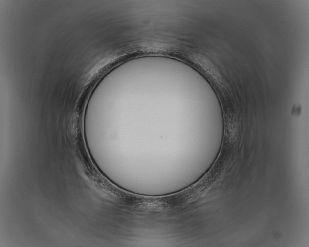 X0000090410583200708031044