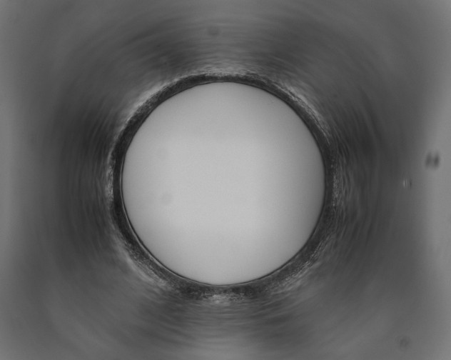 X0000090410584200708031044