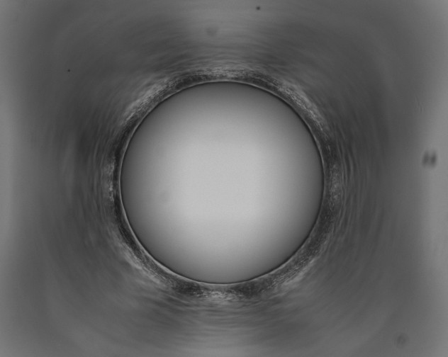 X0000090410585200708031044