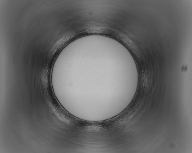 X0000090410586200708031044