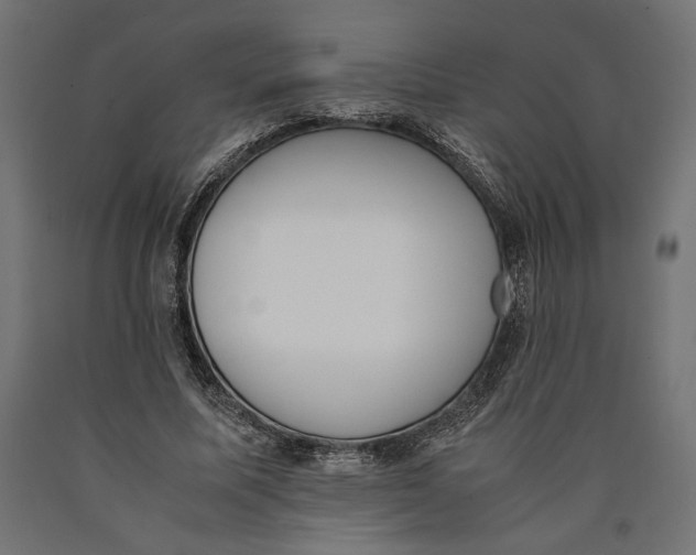X0000090410587200708031044