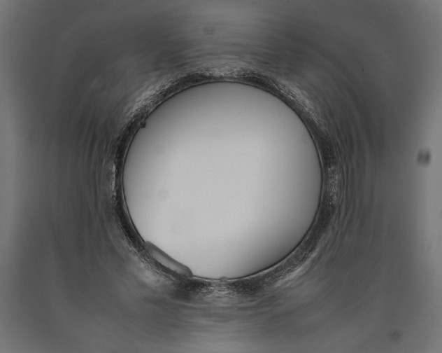 X0000090410589200708031044