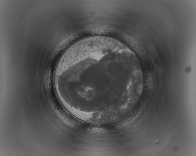 X0000090410590200708031044
