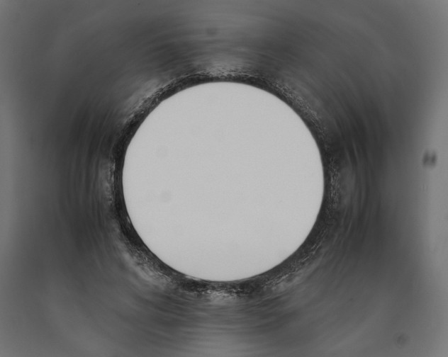 X0000090410592200708031044