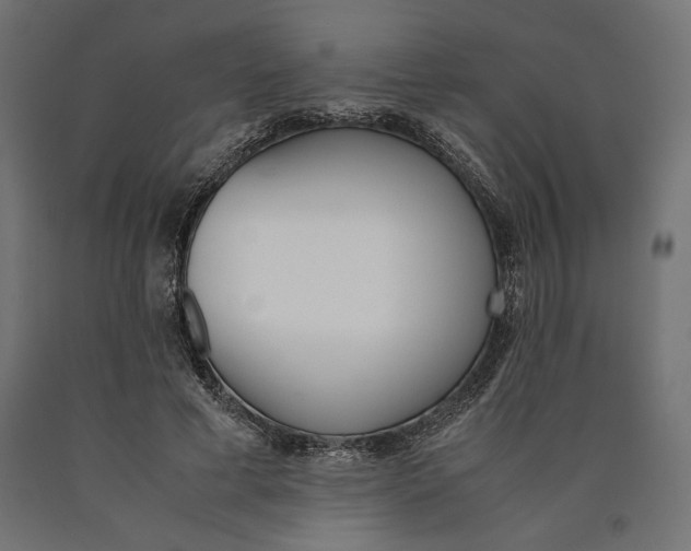 X0000090410593200708031044