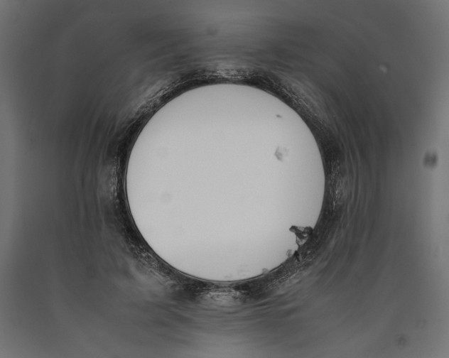 X0000090410595200708031044