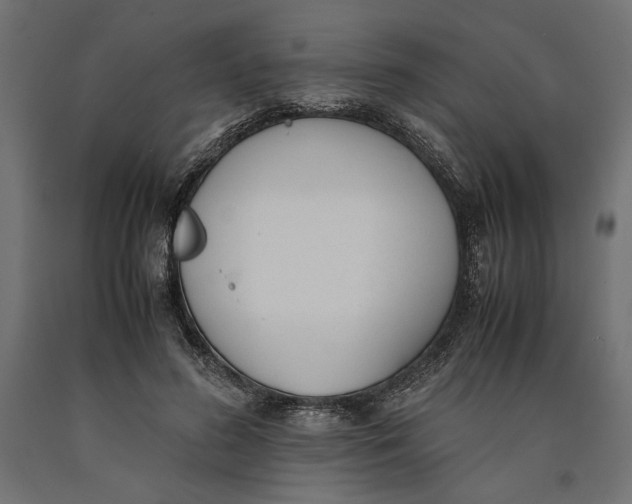 X0000090410596200708031044