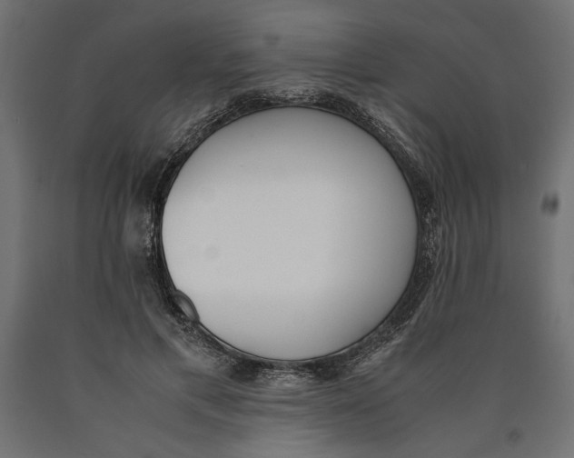X0000090410597200708031044