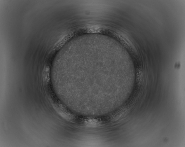 X0000090410598200708031044