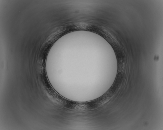 X0000090410599200708031044