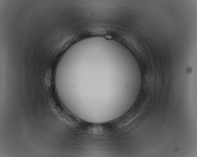 X0000090410600200708031044