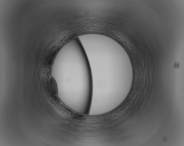 X0000090410601200708031044