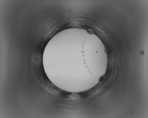 X0000090410603200708031044