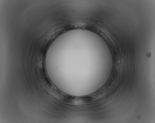 X0000090410604200708031044