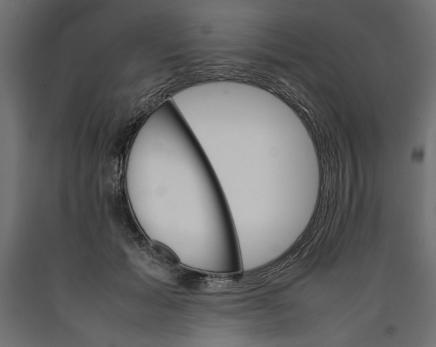 X0000090410605200708031044