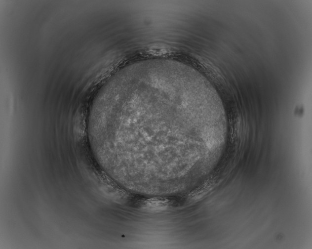 X0000090410606200708031044