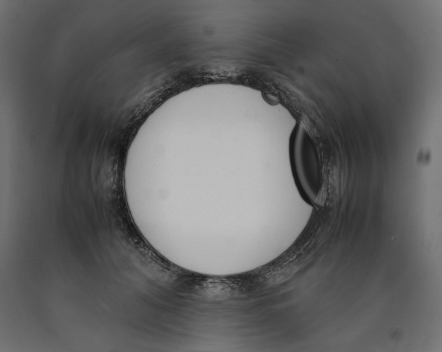 X0000090410608200708031044