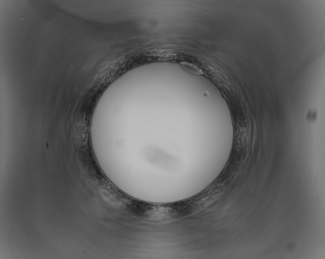 X0000090410609200708031044