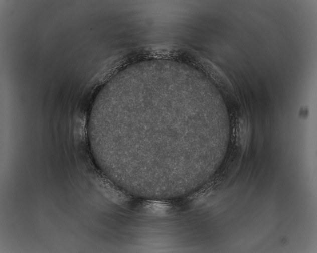 X0000090410610200708031044
