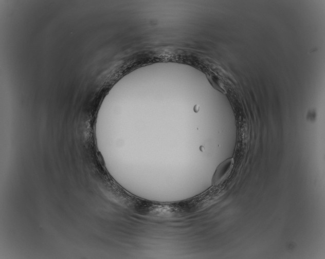 X0000090410611200708031044