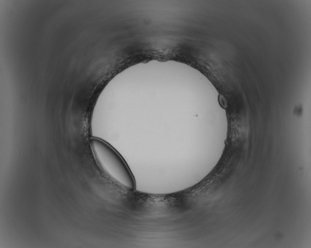 X0000090410613200708031044