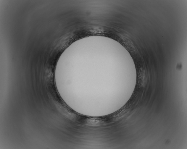 X0000090410614200708031044