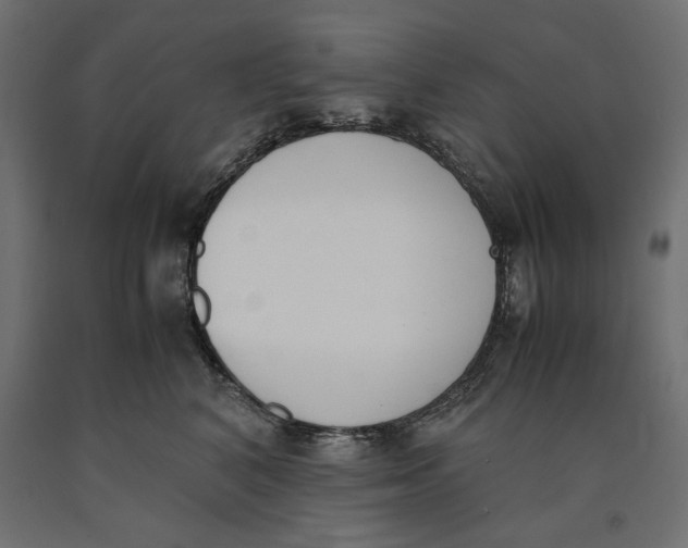 X0000090410616200708031044
