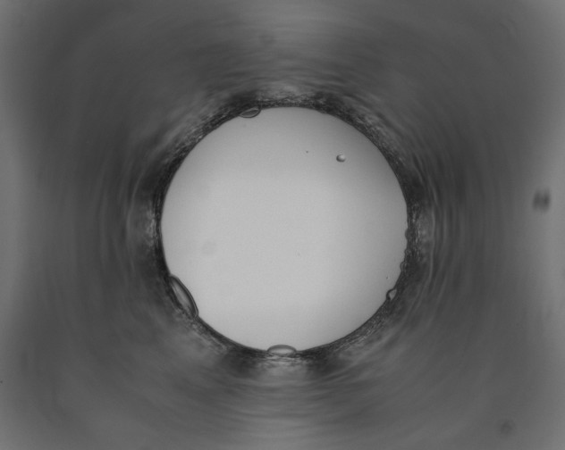 X0000090410617200708031044