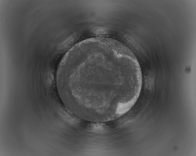 X0000090410618200708031044